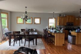 Help with paint recs