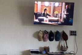 Cat, plant, tv, caps