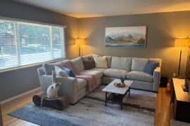 Help finding a good rug for this space