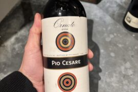 2004 Pio Cesare Barolo ‘Ornato’