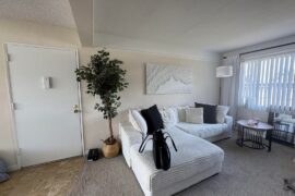 Suggestions for apartment living room