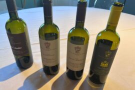 Wine tasting in Piemonte