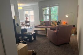 Going insane with trying to figure out a layout for my living area
