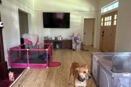 Where to put dining table?
