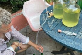 Elderflower Wine for the Late Blooming Years of Life