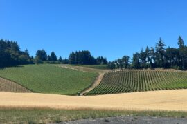Willamette Valley Tastings