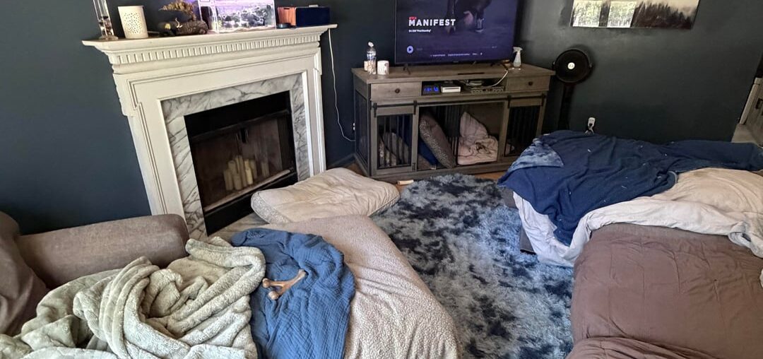 Which rug option?