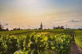 Bordeaux Value going forward