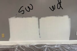Need paint opinions- BM Simply White vs White Dove?