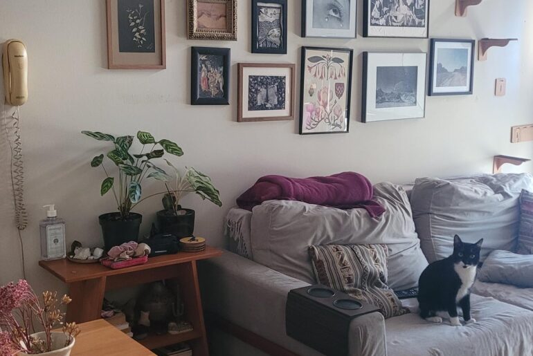 My cozy living room and its residents