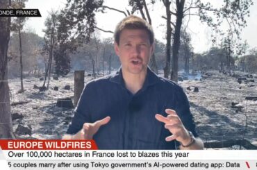 France races to save Bordeaux wine region from massive wildfire