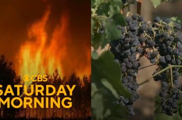 Wildfires threaten France's historic Bordeaux wine region