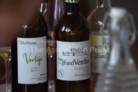 France's Bordeaux wine country brace for economic pain as wildfires rage
