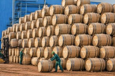 Inside the World's Most Advanced Barrel Factory | From Oak Forest to Lumber to Luxury Wine Barrels
