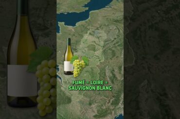 Pouilly-Fumé vs Pouilly-Fuissé | WSET 2 Exam Tip 🍷 #WSET2 #WineStudy #Sommelier #FrenchWine