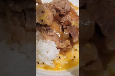 松屋 岩倉スペシャルやってみた…