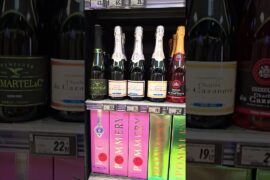 French champagne #wine #vino #champagne  #winerytour #drinks # #travel #shorts