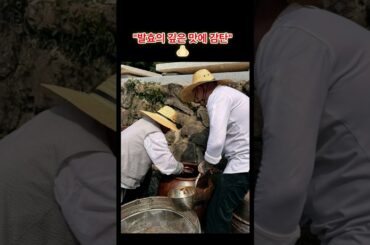 파리 셰프들이 대목 버리고 안동에 온 이유👩🏽‍🍳👨🏽‍🍳