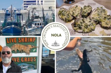 Guide to French Quarter Seafood Industry: Mudbugs and Dollar Bills N🦐🦞🦀🦑