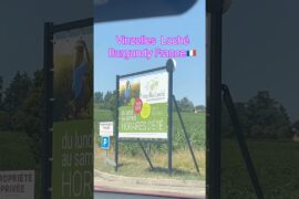 Vinzelles Loché Burgundy France 🇫🇷 is the area of Beaujolais wines #shorts #viral #trending