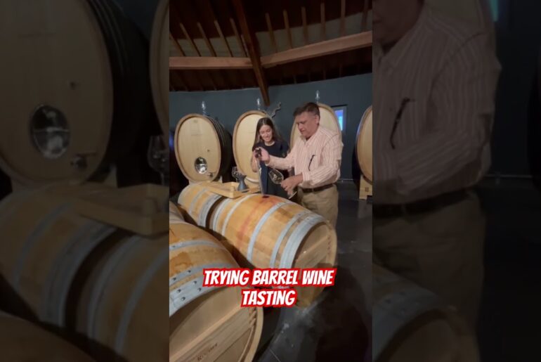 During my visit to Chateau Lafon Rochet in Bordeaux, France, I tried the barrel wine tasting process