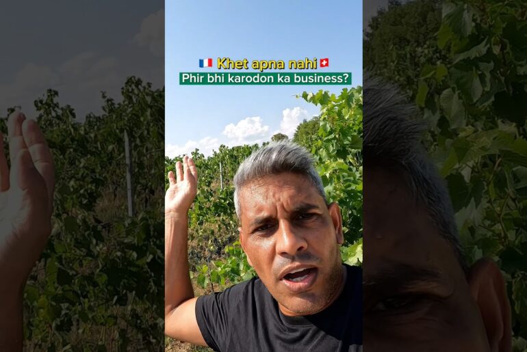 France Mein Vineyard Business?! Khet Lease Par Lekar Wine Business Kaise Hota Hai? 🇫🇷