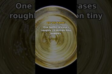 Did You Know? 8 Facts About Champagne, France's Legendary Bubbly