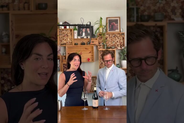2023 Domaine Mont Verrier Janin Morgon Beaujolais