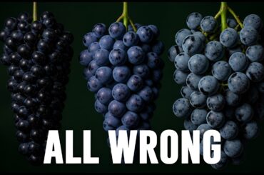 Cabernet vs Merlot vs Pinot Noir — What's Actually the Difference?