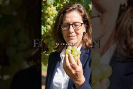 France Threw Away Malbec and Argentina Kept It
