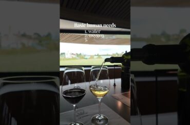 Basic human needs: food, water… and a good glass of wine. 🍷
