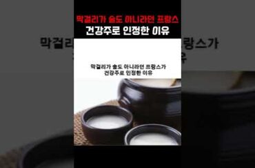 막걸리가 술도 아니라던 프랑스 건강주로 인정한 이유