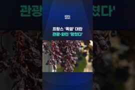 프랑스 '폭염' 대란 … 관광·와인 '망쳤다' #shorts / KBS