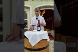 intemp aurel video youtube cuvee trocken gaillac frankreich #weingenuss #wine #vins #vinelover