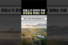 프랑스가 돈까지 주며 포도밭을 없애는 이유