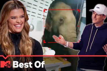 Ridiculousnesly Wild Animals 🐙 SUPER COMPILATION | Ridiculousness