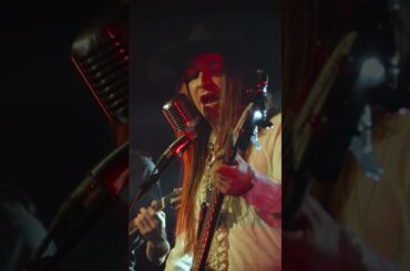 WINECRAFT - Wild Wine Quest (LIVE VIDEO)