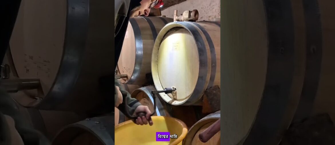 How Expensive Wine Barrels Are Made from French Oak! 🍷🪵 #facts
