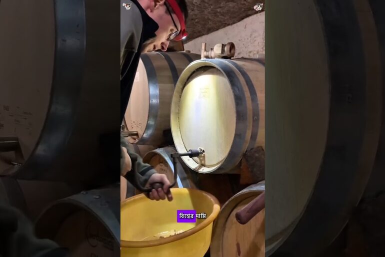 How Expensive Wine Barrels Are Made from French Oak! 🍷🪵 #facts