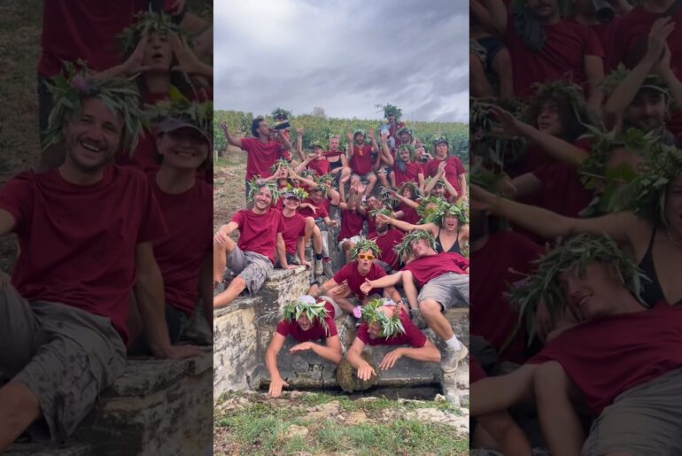 🍇 I Joined the 2026 Grape Harvest in Chablis, France 🇫🇷 | Domaine Vicaire