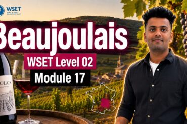 Beaujolais Explained | Gamay, Wine Styles & Key Regions | WSET Level 2 | Module 17#wset #beaujolais