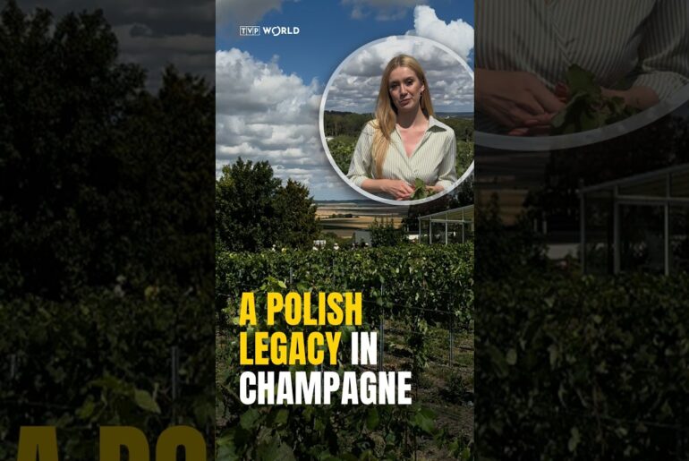 A #Polish #legacy in #Champagne