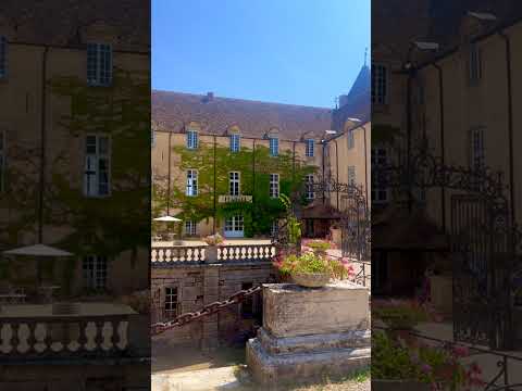 The Burgundy Wine Route Gets Even Better 🍷🇫🇷 Part 2 🍇 #france #travel #shorts #happy #summer