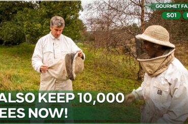 Harvesting Wild Honey for My Off Grid Bakery | Gourmet Farmer | Season 1 Episode 9