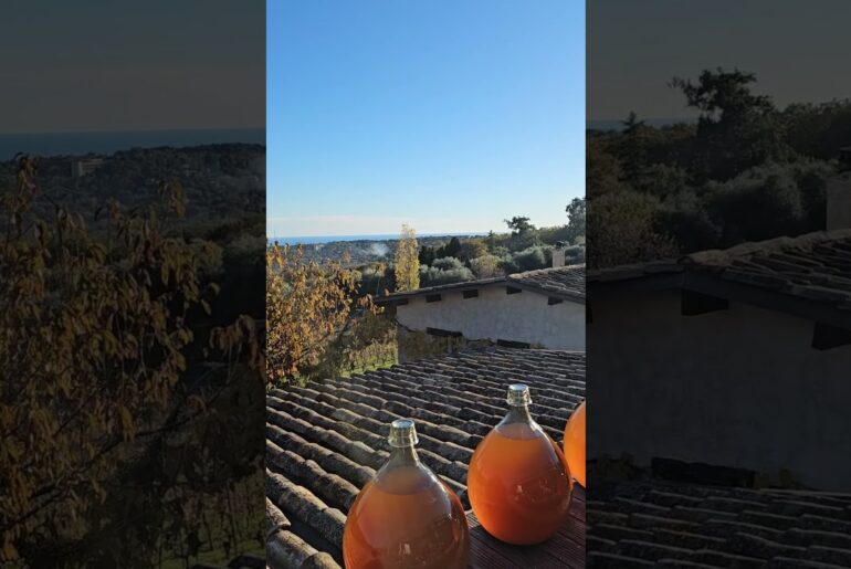 Autumn vibes, good wine and South of France sunshine at Vignoble Rasse #visitnice #discoverfrance