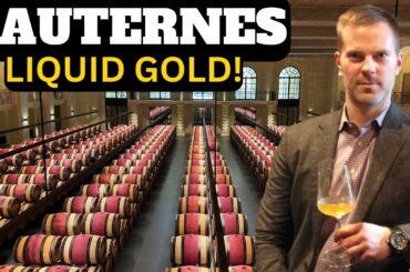 Discovering France's SAUTERNES Wine Region