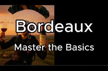 Bordeaux Wine 101: Master the Basics (Everything You Need to Know)