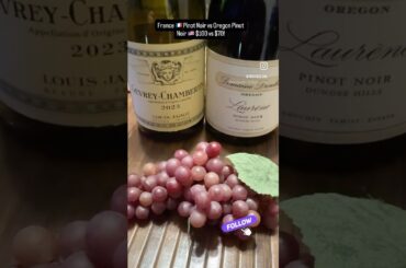 France 🇫🇷 Pinot Noir vs Oregon Pinot Noir 🇺🇸 $100 vs $70!#wine #review #winelovers #france #usa