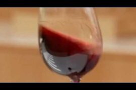 Chris' French Wine Take