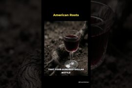 French Wine Destroyed: The Root Graft Paradox #Shorts